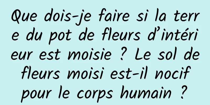 Que dois-je faire si la terre du pot de fleurs d’intérieur est moisie ? Le sol de fleurs moisi est-il nocif pour le corps humain ?