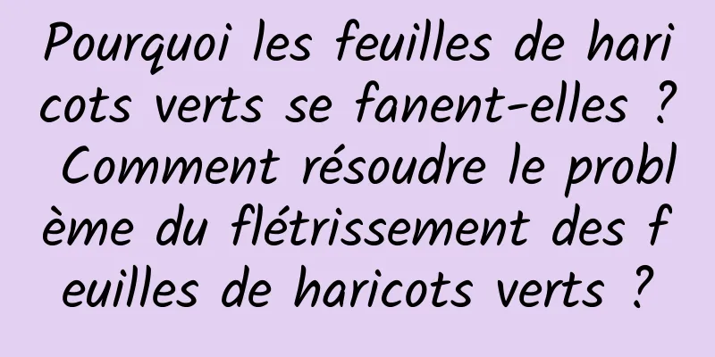 Pourquoi les feuilles de haricots verts se fanent-elles ? Comment résoudre le problème du flétrissement des feuilles de haricots verts ?
