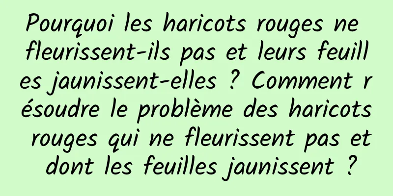 Pourquoi les haricots rouges ne fleurissent-ils pas et leurs feuilles jaunissent-elles ? Comment résoudre le problème des haricots rouges qui ne fleurissent pas et dont les feuilles jaunissent ?
