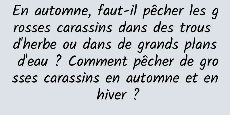 En automne, faut-il pêcher les grosses carassins dans des trous d'herbe ou dans de grands plans d'eau ? Comment pêcher de grosses carassins en automne et en hiver ?