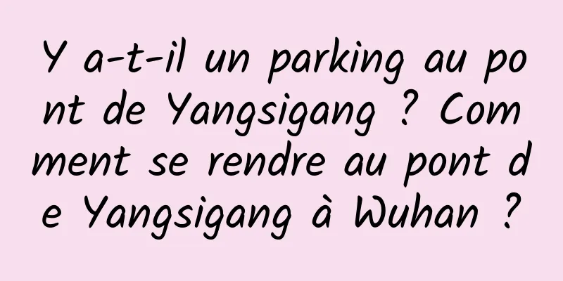 Y a-t-il un parking au pont de Yangsigang ? Comment se rendre au pont de Yangsigang à Wuhan ?