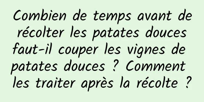Combien de temps avant de récolter les patates douces faut-il couper les vignes de patates douces ? Comment les traiter après la récolte ?
