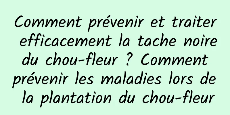 Comment prévenir et traiter efficacement la tache noire du chou-fleur ? Comment prévenir les maladies lors de la plantation du chou-fleur
