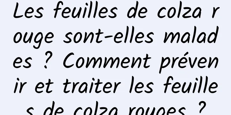 Les feuilles de colza rouge sont-elles malades ? Comment prévenir et traiter les feuilles de colza rouges ?