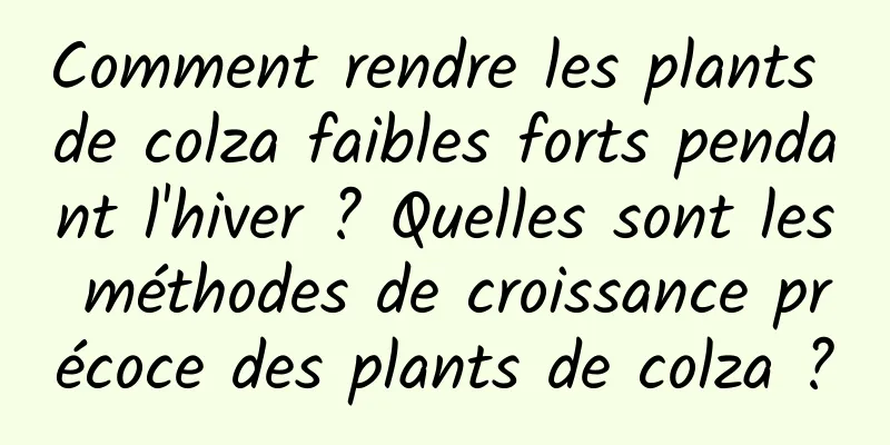Comment rendre les plants de colza faibles forts pendant l'hiver ? Quelles sont les méthodes de croissance précoce des plants de colza ?