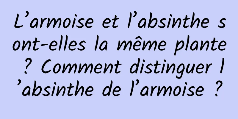 L’armoise et l’absinthe sont-elles la même plante ? Comment distinguer l’absinthe de l’armoise ?