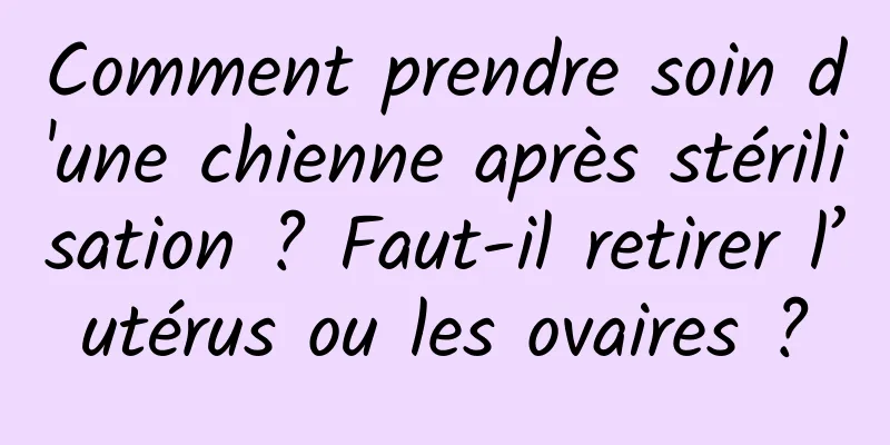 Comment prendre soin d'une chienne après stérilisation ? Faut-il retirer l’utérus ou les ovaires ?