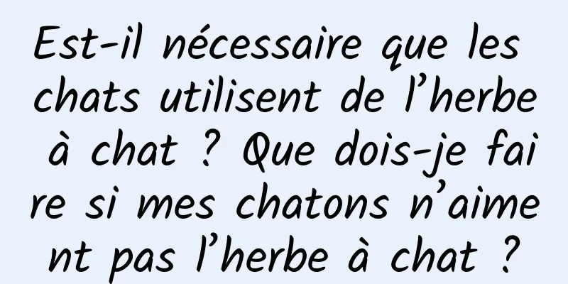 Est-il nécessaire que les chats utilisent de l’herbe à chat ? Que dois-je faire si mes chatons n’aiment pas l’herbe à chat ?