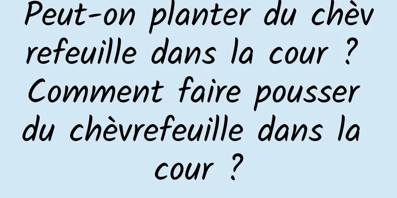 Peut-on planter du chèvrefeuille dans la cour ? Comment faire pousser du chèvrefeuille dans la cour ?