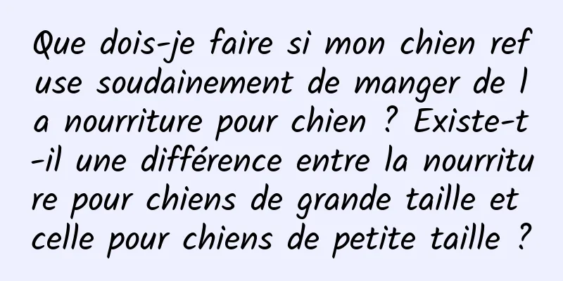 Que dois-je faire si mon chien refuse soudainement de manger de la nourriture pour chien ? Existe-t-il une différence entre la nourriture pour chiens de grande taille et celle pour chiens de petite taille ?