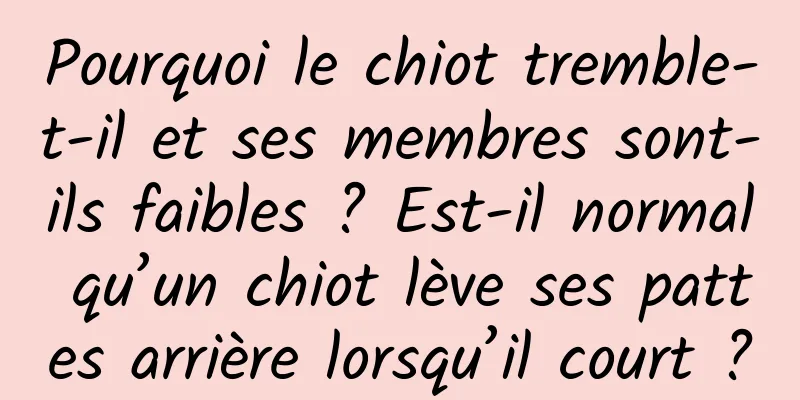 Pourquoi le chiot tremble-t-il et ses membres sont-ils faibles ? Est-il normal qu’un chiot lève ses pattes arrière lorsqu’il court ?