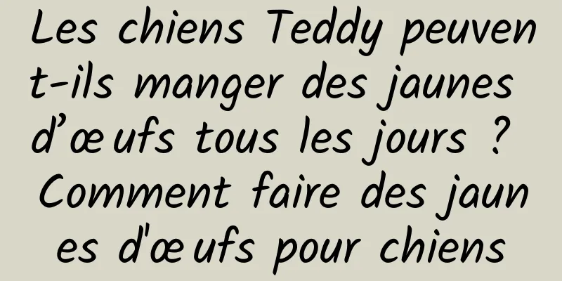 Les chiens Teddy peuvent-ils manger des jaunes d’œufs tous les jours ? Comment faire des jaunes d'œufs pour chiens