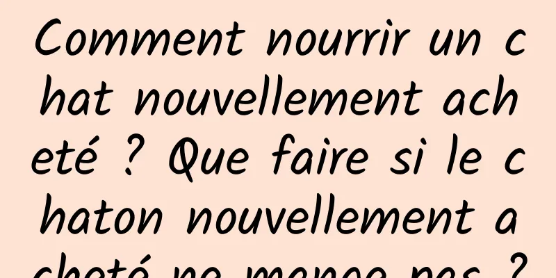 Comment nourrir un chat nouvellement acheté ? Que faire si le chaton nouvellement acheté ne mange pas ?
