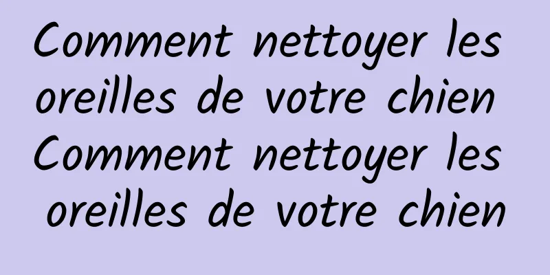 Comment nettoyer les oreilles de votre chien Comment nettoyer les oreilles de votre chien