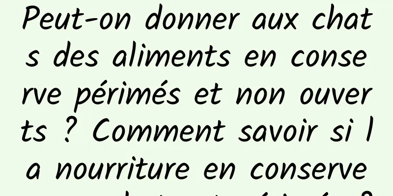Peut-on donner aux chats des aliments en conserve périmés et non ouverts ? Comment savoir si la nourriture en conserve pour chat est périmée ?