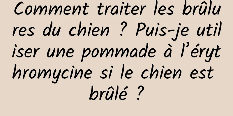 Comment traiter les brûlures du chien ? Puis-je utiliser une pommade à l’érythromycine si le chien est brûlé ?