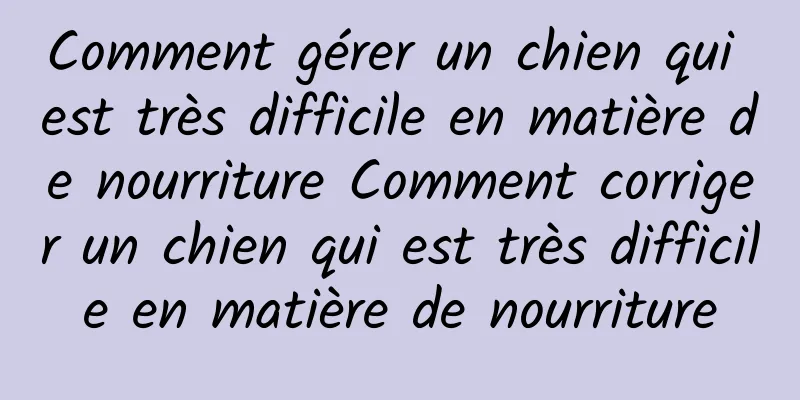 Comment gérer un chien qui est très difficile en matière de nourriture Comment corriger un chien qui est très difficile en matière de nourriture
