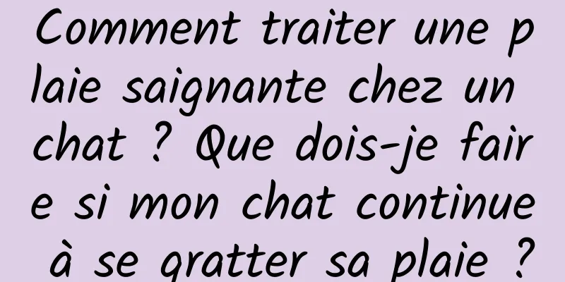 Comment traiter une plaie saignante chez un chat ? Que dois-je faire si mon chat continue à se gratter sa plaie ?
