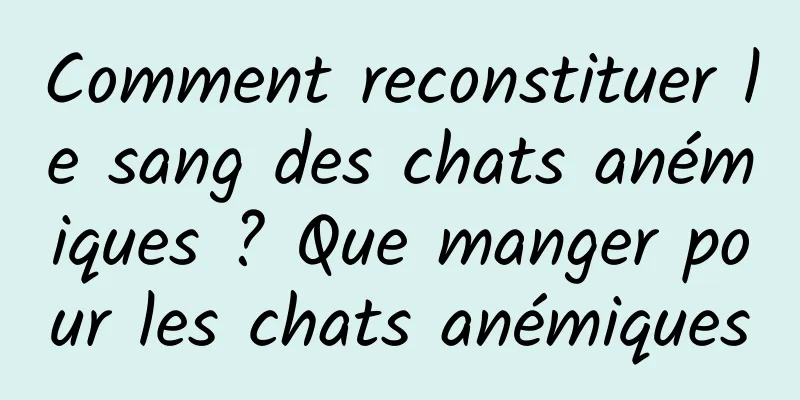Comment reconstituer le sang des chats anémiques ? Que manger pour les chats anémiques