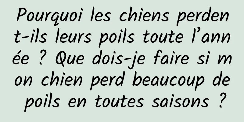 Pourquoi les chiens perdent-ils leurs poils toute l’année ? Que dois-je faire si mon chien perd beaucoup de poils en toutes saisons ?