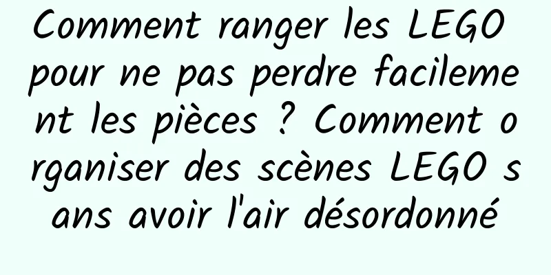 Comment ranger les LEGO pour ne pas perdre facilement les pièces ? Comment organiser des scènes LEGO sans avoir l'air désordonné