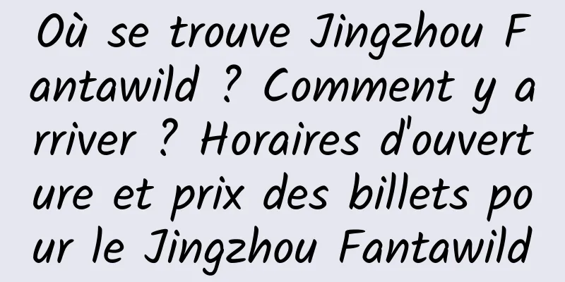 Où se trouve Jingzhou Fantawild ? Comment y arriver ? Horaires d'ouverture et prix des billets pour le Jingzhou Fantawild