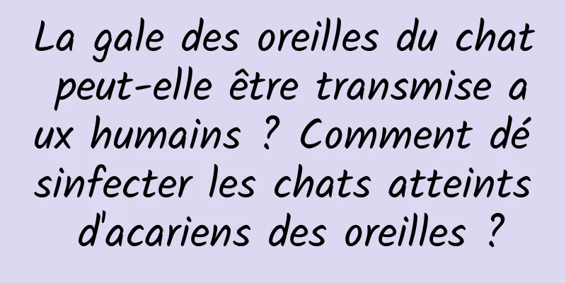 La gale des oreilles du chat peut-elle être transmise aux humains ? Comment désinfecter les chats atteints d'acariens des oreilles ?