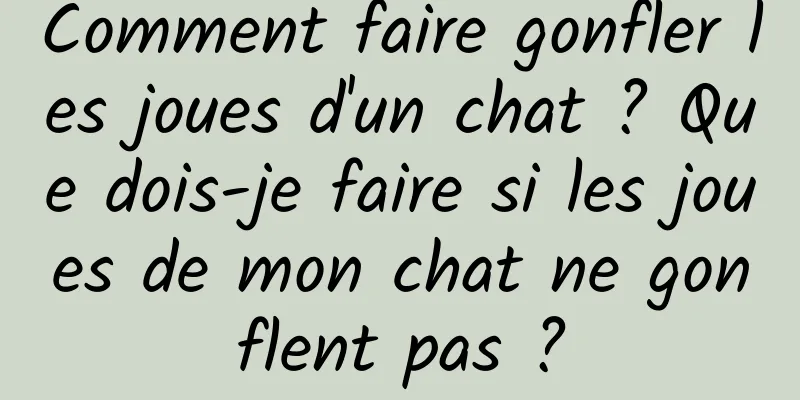 Comment faire gonfler les joues d'un chat ? Que dois-je faire si les joues de mon chat ne gonflent pas ?
