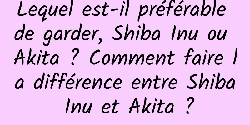 Lequel est-il préférable de garder, Shiba Inu ou Akita ? Comment faire la différence entre Shiba Inu et Akita ?