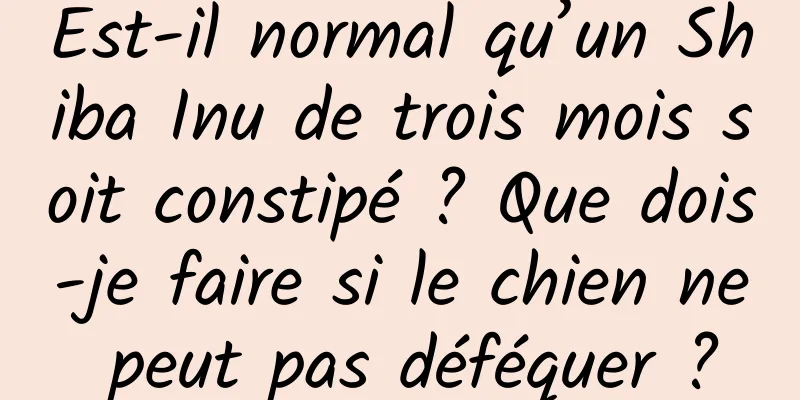 Est-il normal qu’un Shiba Inu de trois mois soit constipé ? Que dois-je faire si le chien ne peut pas déféquer ?