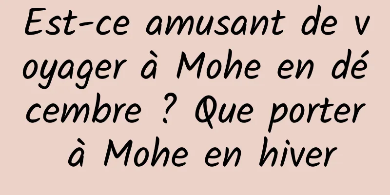Est-ce amusant de voyager à Mohe en décembre ? Que porter à Mohe en hiver