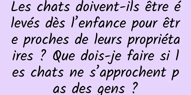 Les chats doivent-ils être élevés dès l’enfance pour être proches de leurs propriétaires ? Que dois-je faire si les chats ne s’approchent pas des gens ?