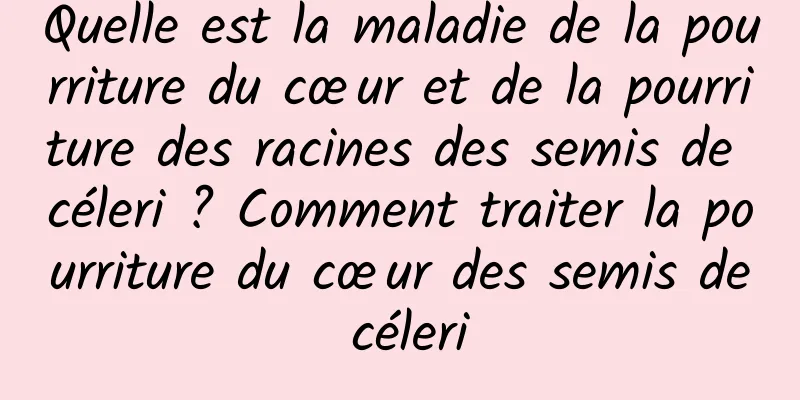 Quelle est la maladie de la pourriture du cœur et de la pourriture des racines des semis de céleri ? Comment traiter la pourriture du cœur des semis de céleri