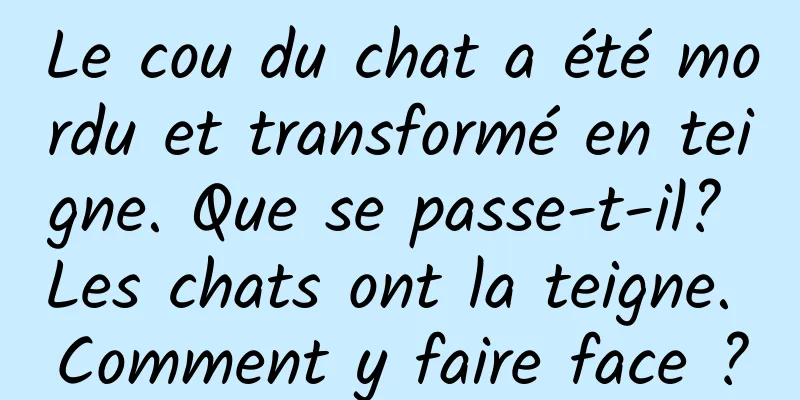Le cou du chat a été mordu et transformé en teigne. Que se passe-t-il? Les chats ont la teigne. Comment y faire face ?
