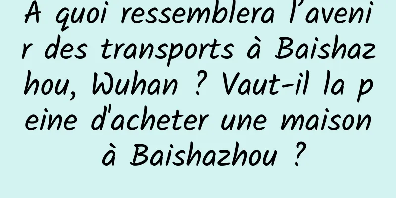 À quoi ressemblera l’avenir des transports à Baishazhou, Wuhan ? Vaut-il la peine d'acheter une maison à Baishazhou ?