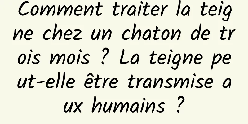 Comment traiter la teigne chez un chaton de trois mois ? La teigne peut-elle être transmise aux humains ?