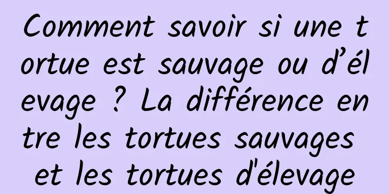 Comment savoir si une tortue est sauvage ou d’élevage ? La différence entre les tortues sauvages et les tortues d'élevage