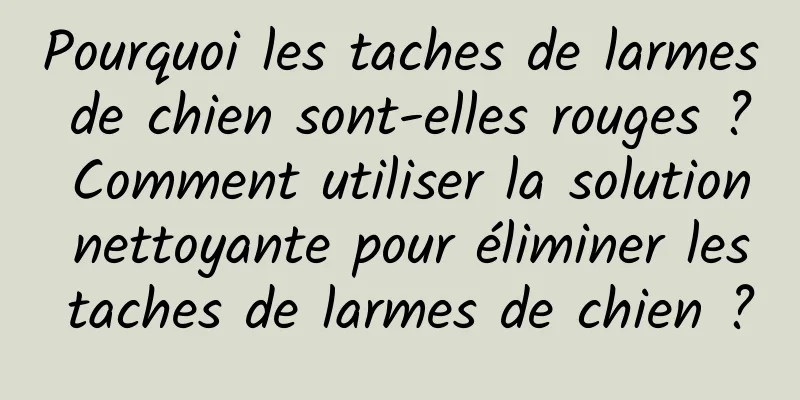 Pourquoi les taches de larmes de chien sont-elles rouges ? Comment utiliser la solution nettoyante pour éliminer les taches de larmes de chien ?