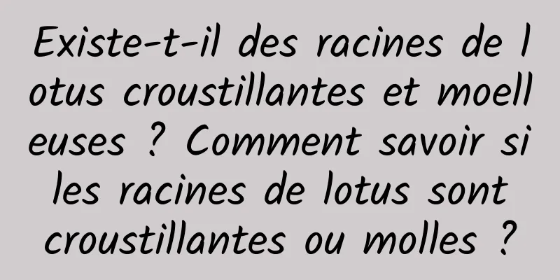 Existe-t-il des racines de lotus croustillantes et moelleuses ? Comment savoir si les racines de lotus sont croustillantes ou molles ?