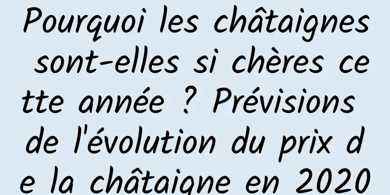 Pourquoi les châtaignes sont-elles si chères cette année ? Prévisions de l'évolution du prix de la châtaigne en 2020