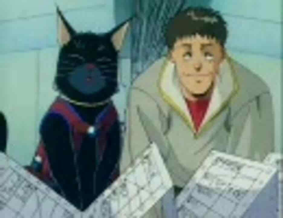 L'attrait et les critiques de « The Enemy is a Pirate: A Feast of Cats » : un anime incontournable pour les amoureux des chats 
