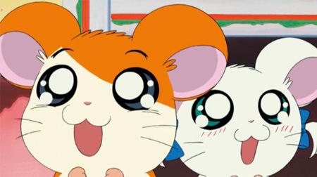 Hamtaro : Une critique approfondie de l'histoire curative et aventureuse du hamster 