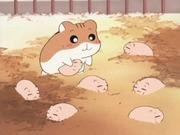 Hamster Club : Une évaluation approfondie des personnages charmants et de la profondeur de l'histoire 