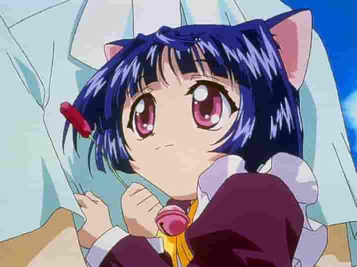 Magical Girl Cat Taruto - Une critique d'un nouvel anime fascinant 