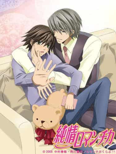 L'attrait et les critiques de « Junjo Romantica » : une œuvre émouvante que les fans de BL doivent voir 
