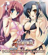 Chibi Chibi Engi Shin Koihime Ju Musou Flash↑♥ ~Les luttes et l'évaluation du groupe non récompensé~