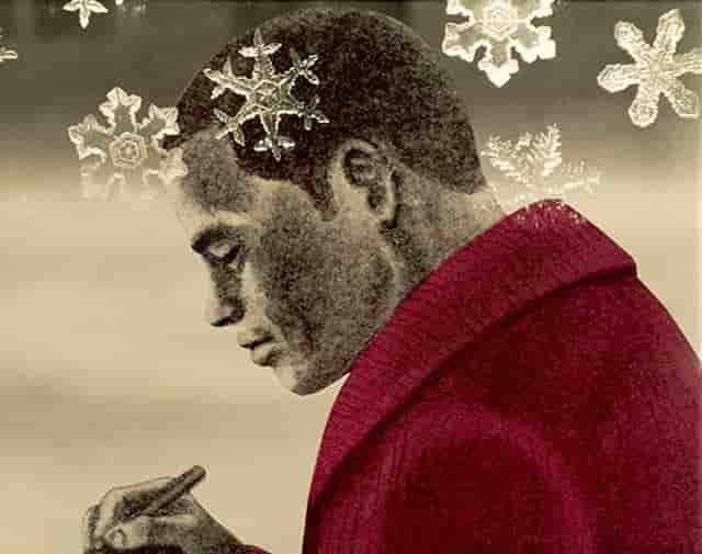 Critique de « La vie d'un poète » : une histoire émouvante et son attrait 