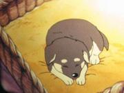 C'est parti ! Servez le chien-guide : une analyse approfondie de l'histoire touchante et de l'attrait des personnages 