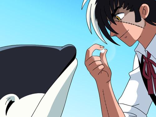La version Internet du Black Jack : nouvel attrait et critiques du classique 