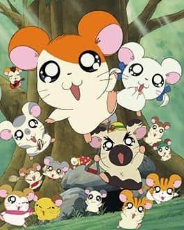 L'attrait et les critiques de l'anime spécial Hamtaro 
